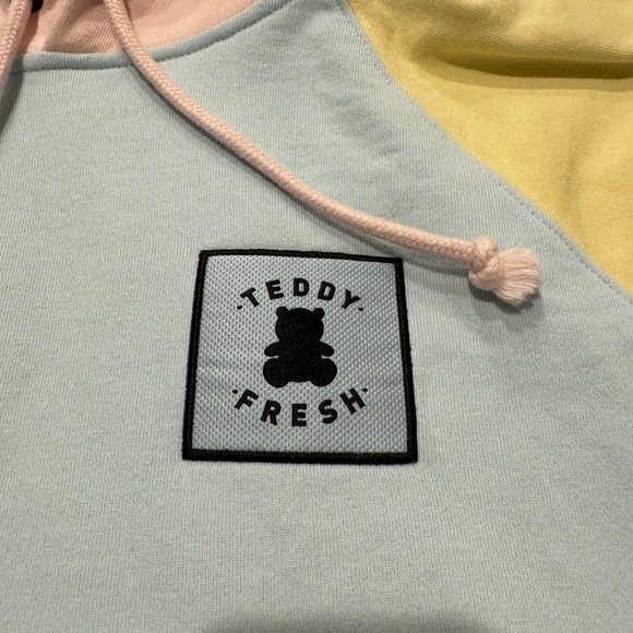 Teddy Fresh Color Block 2.0 Hoodie - Picture 2 of 5